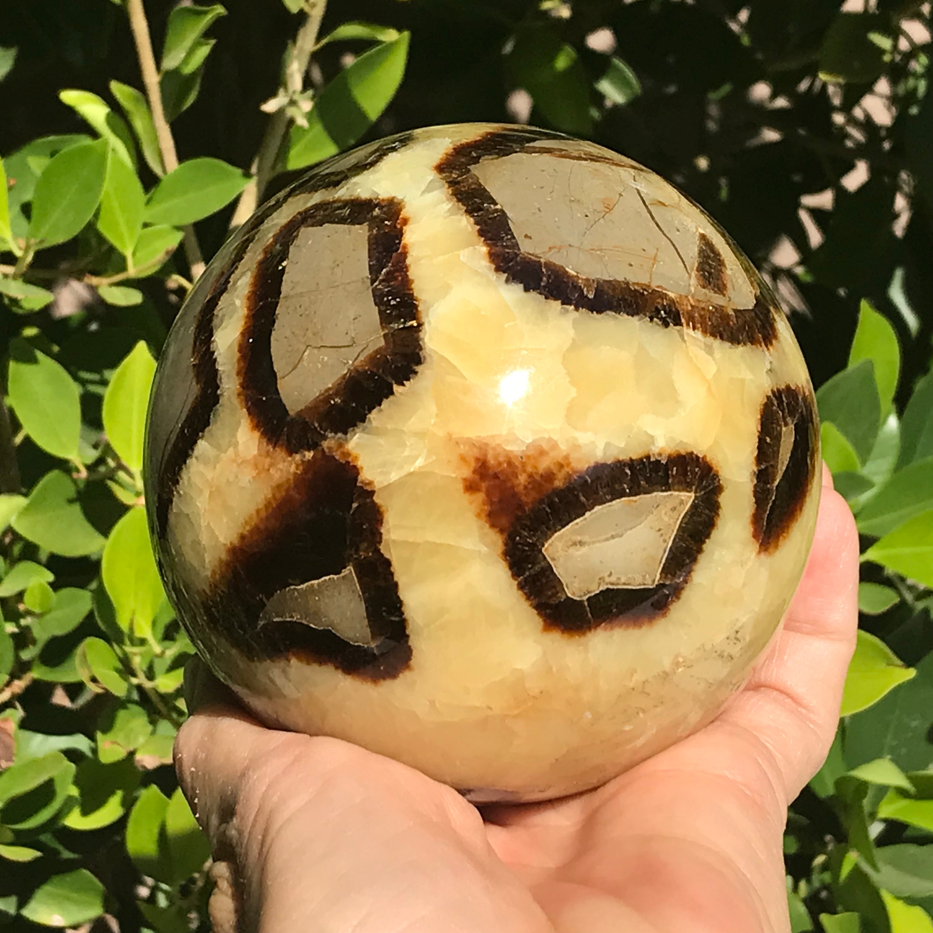 Substantial Septarian Sphere