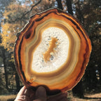 Shades of Fall Agate Slice