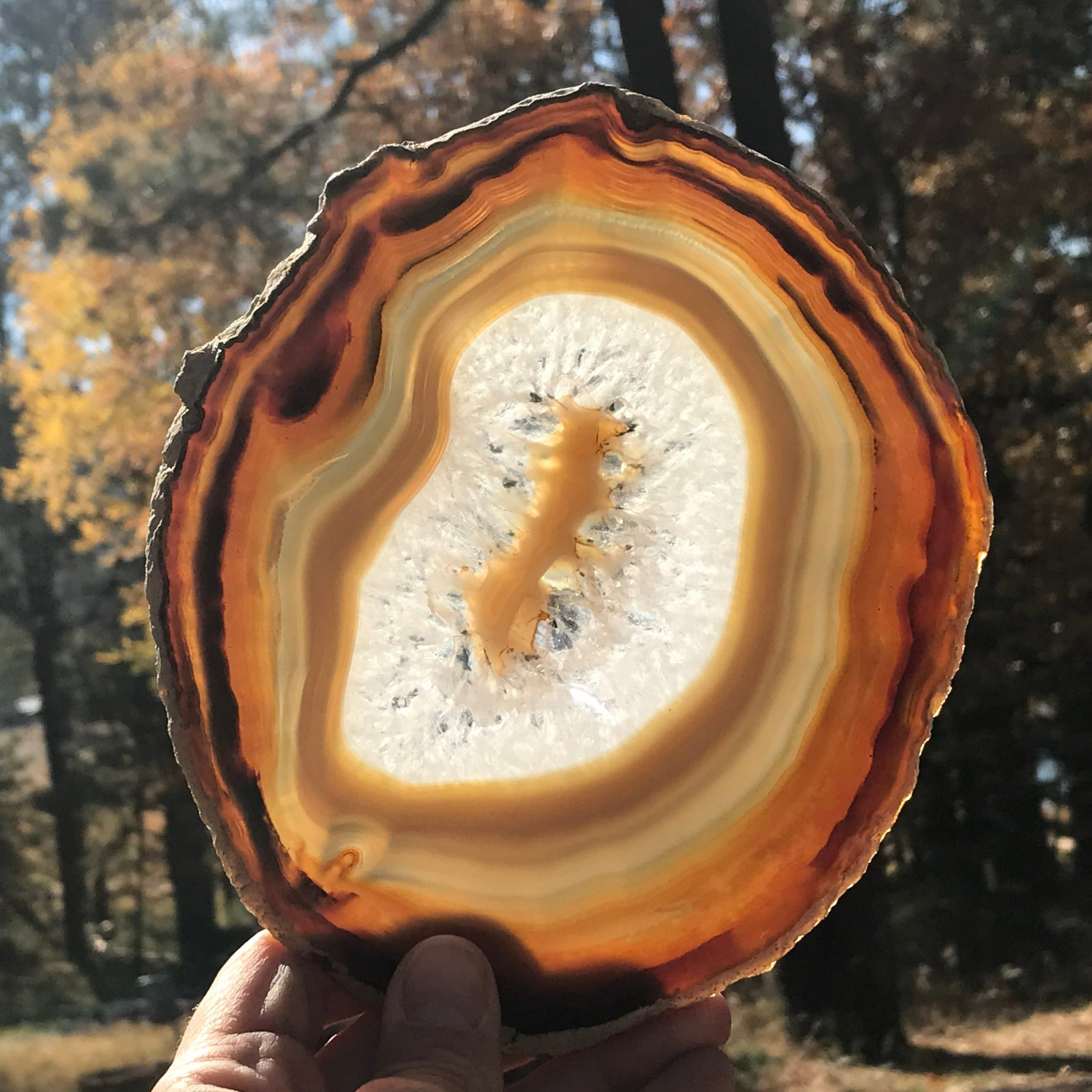 Shades of Fall Agate Slice