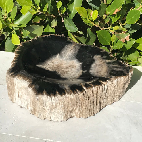 Bark Rimmed Petrified Wood Bowl