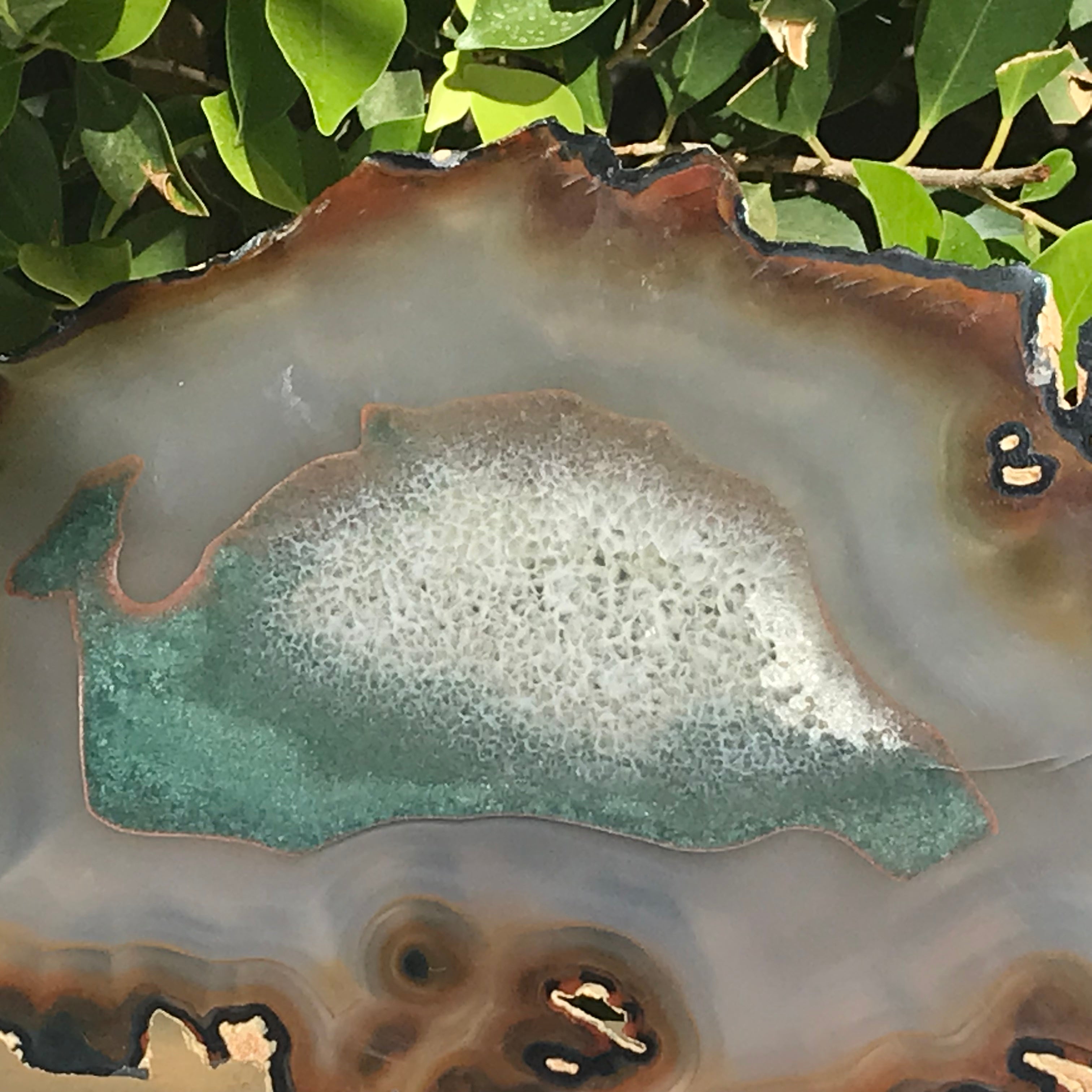 Bold Yellow and Green Banded Agate Slice