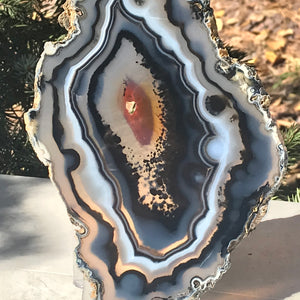 Striated Black Agate Slice