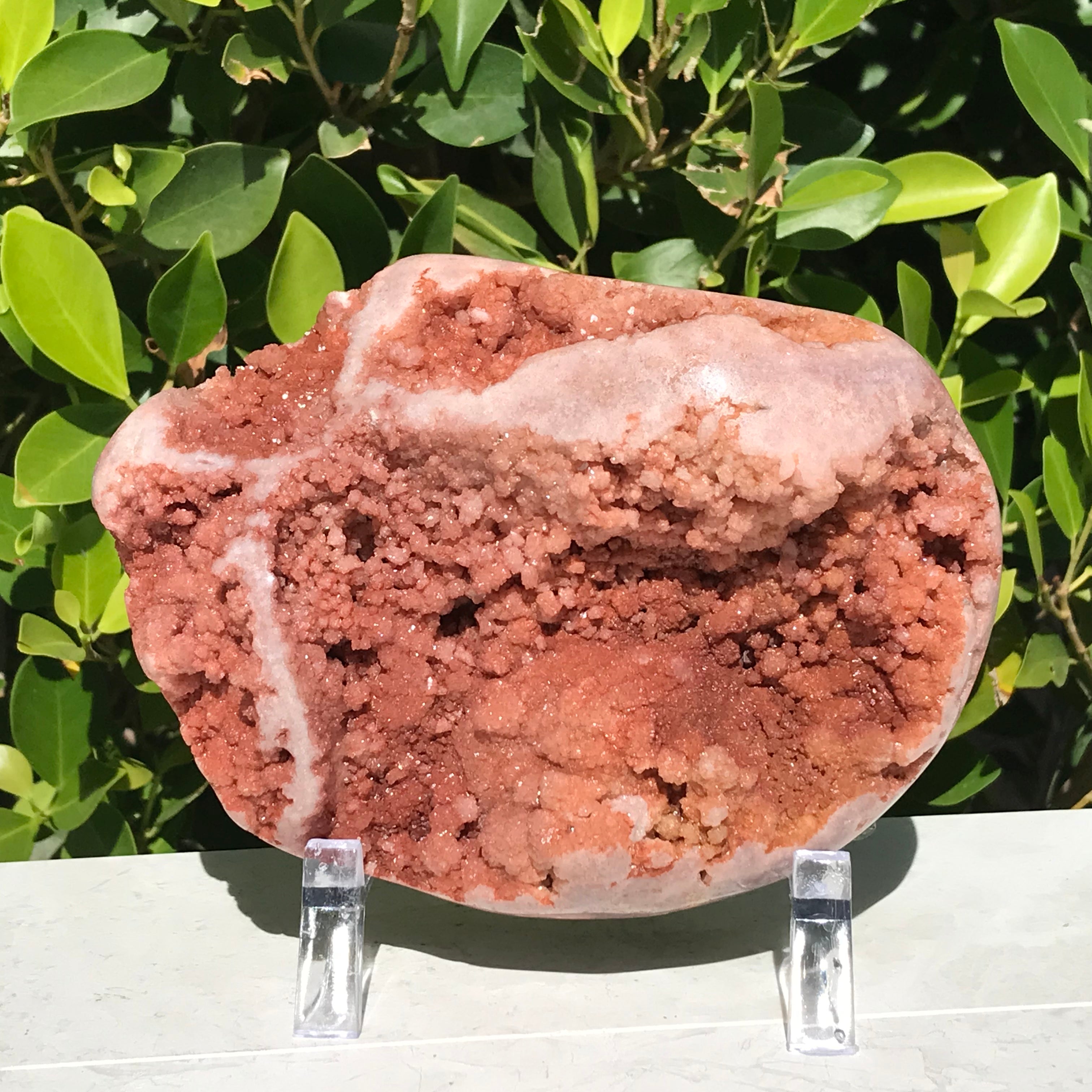 Brazilian Rose Plate