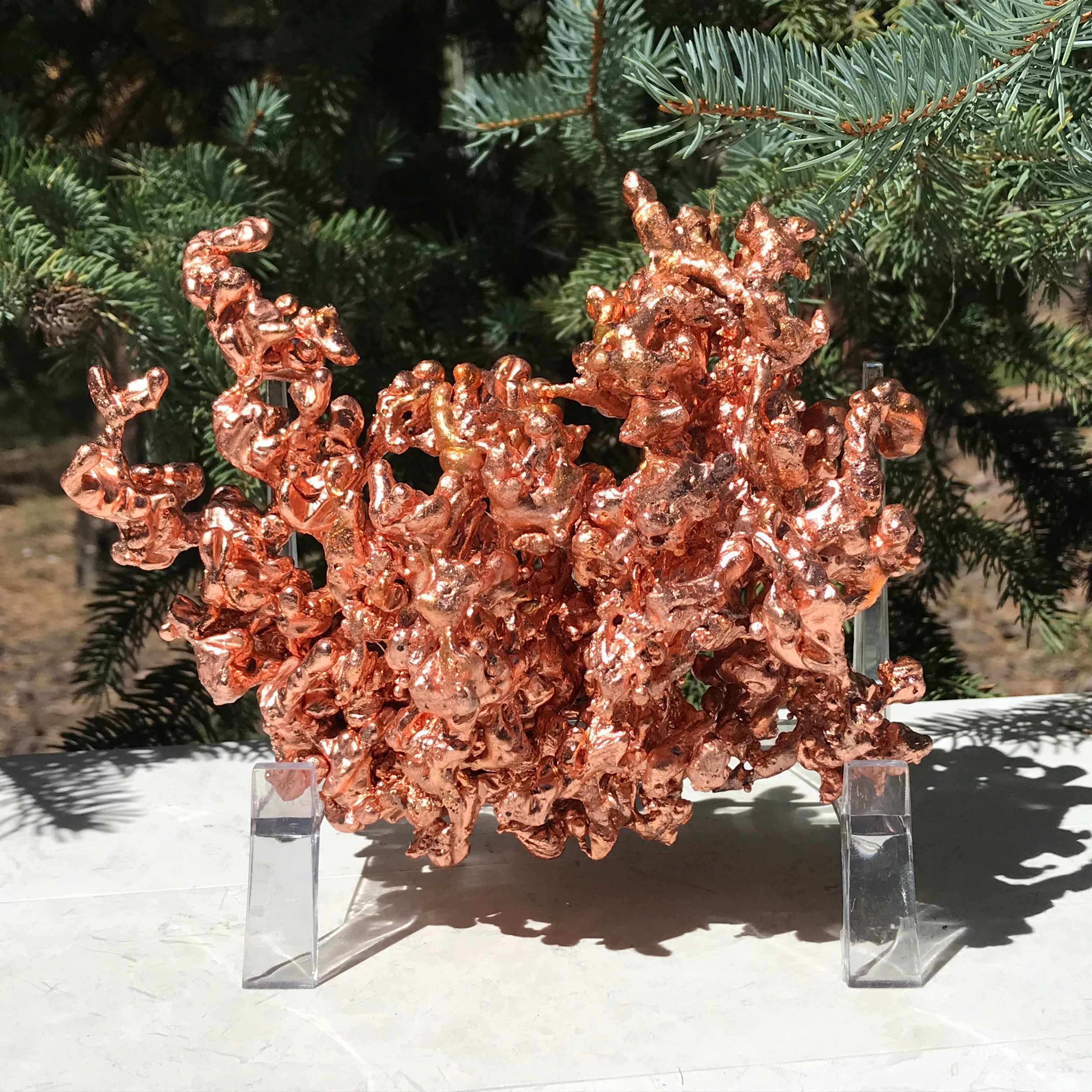 Michigan Sculpture Copper