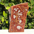Noreena Jasper Slab