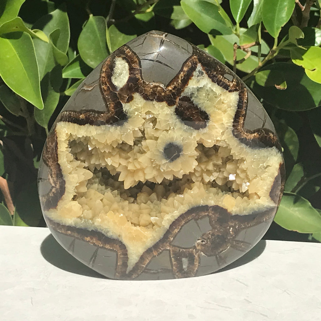 Flame Shaped Polished Septarian