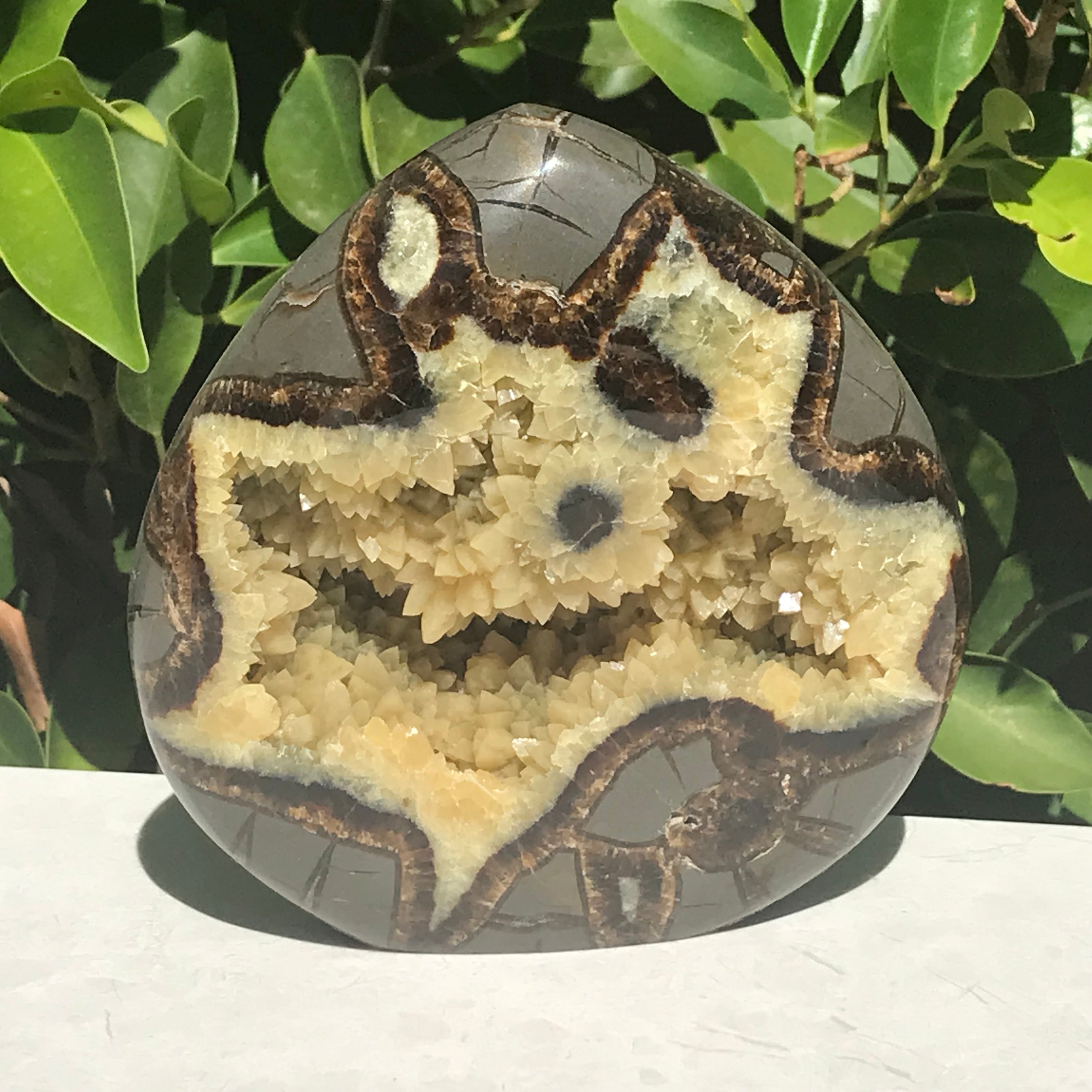 Flame Shaped Polished Septarian