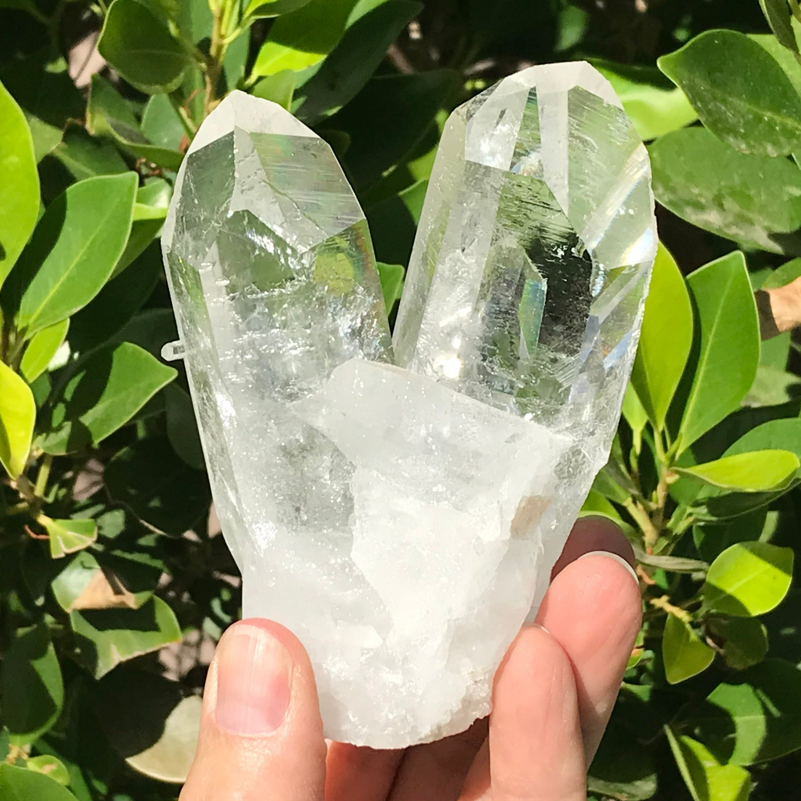 Twin Points Brazilian Crystal Cluster