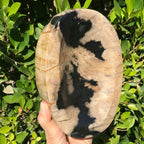 Polished Petrified Wood Bowl