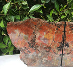 Arizona Rainbow Petrified Wood Bookends
