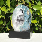 Polished Agate Geode