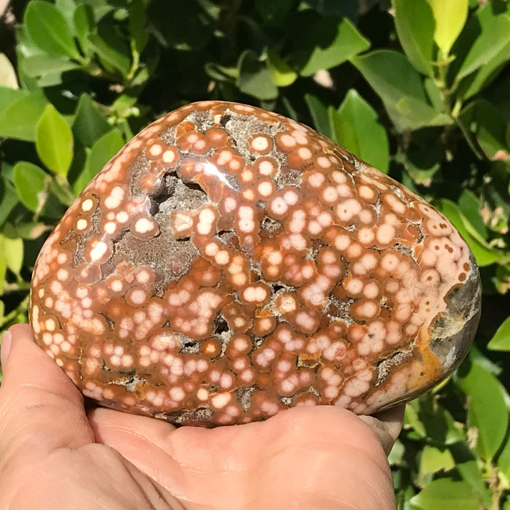 Ocean Jasper Nodule