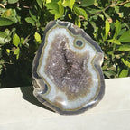 Olive Green Banded Amethyst Geode