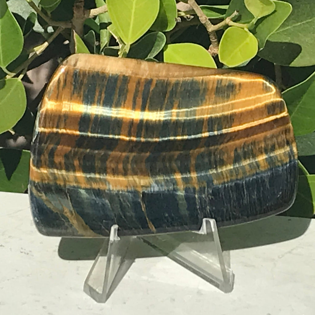 Tiger Eye Jasper Slab