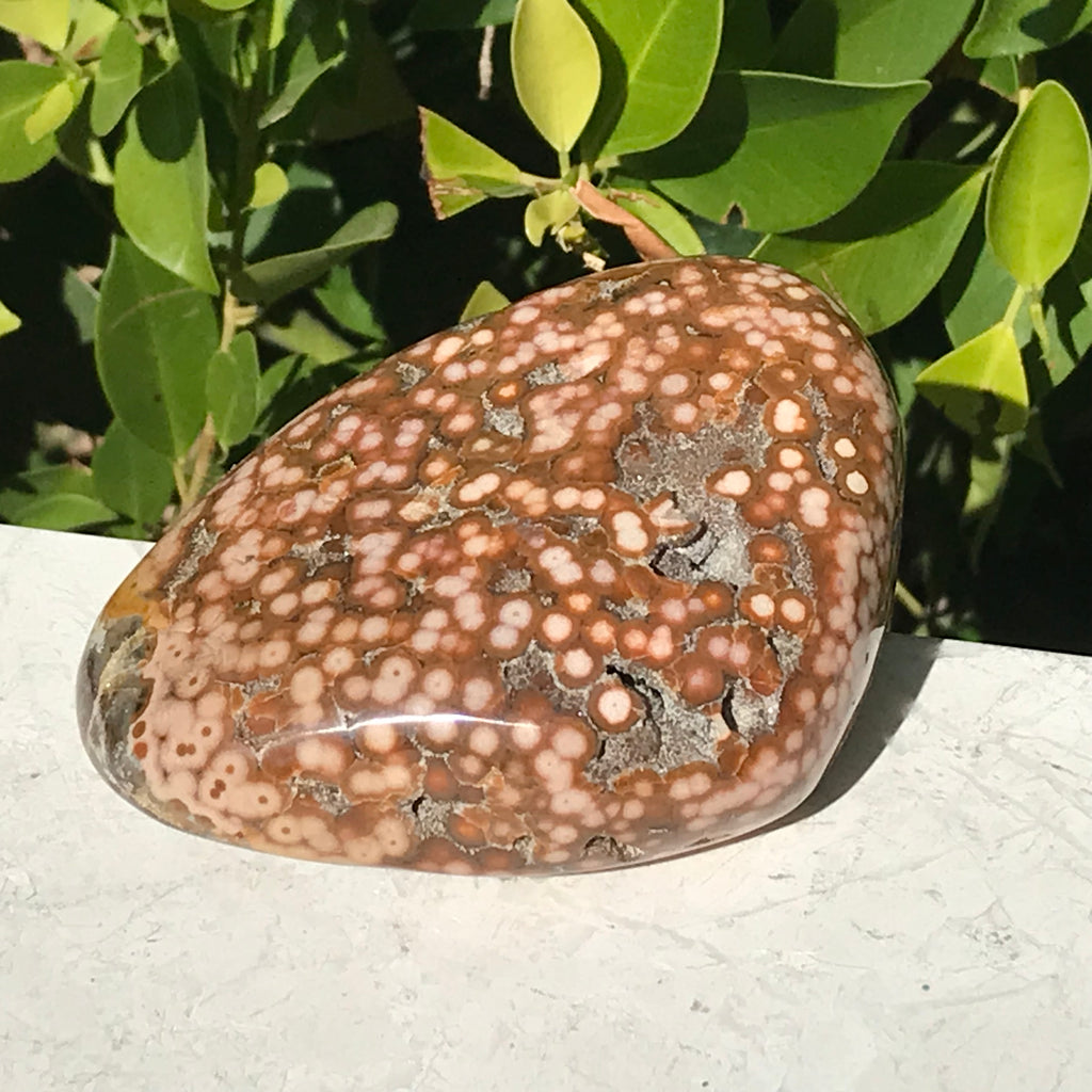 Ocean Jasper Nodule