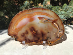 Fiery Detailed Agate Slice