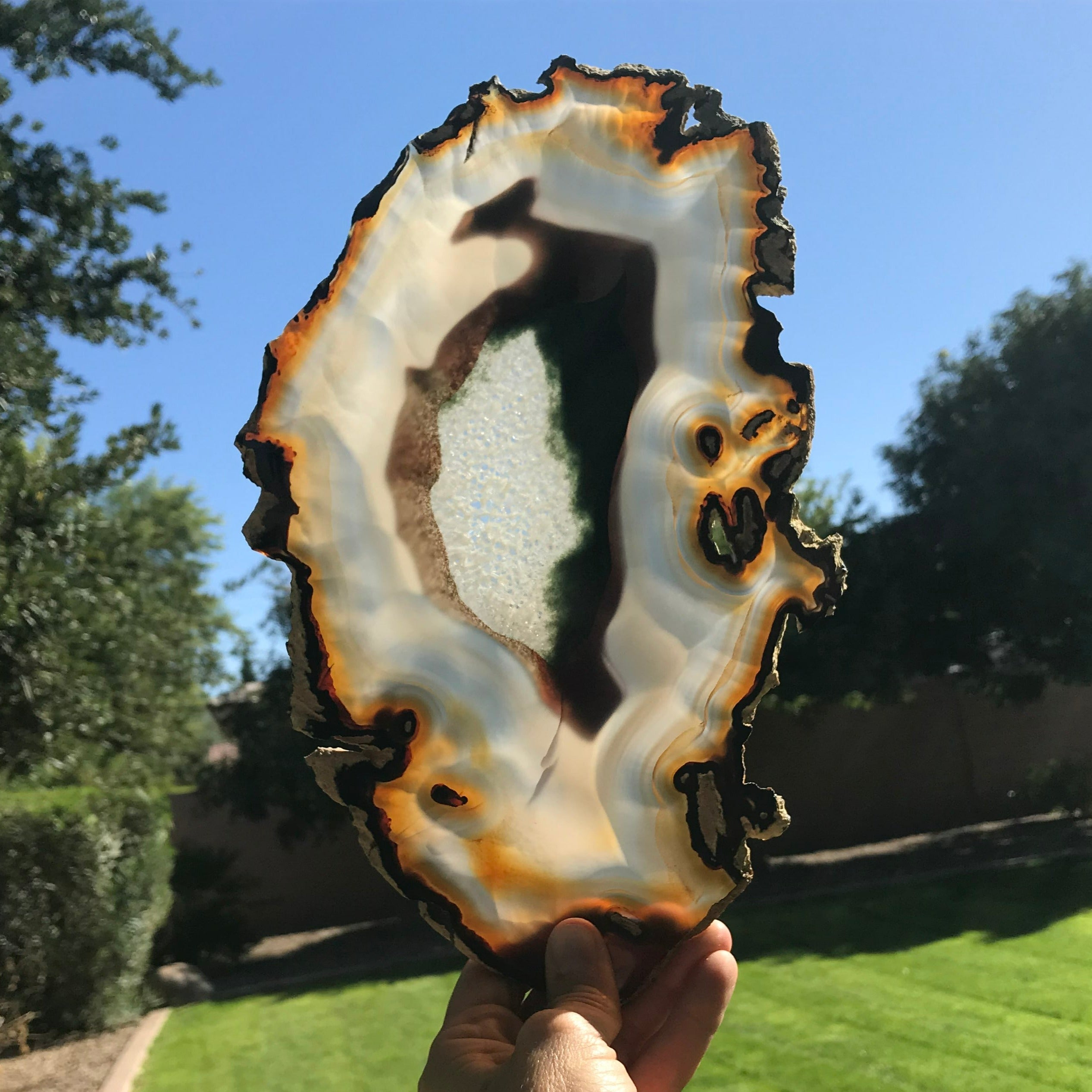 Bold Yellow and Green Banded Agate Slice