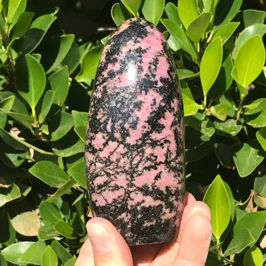 Black and Pink Rhodonite Nodule