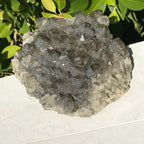 Sparkling Pine Cone Quartz Cluster