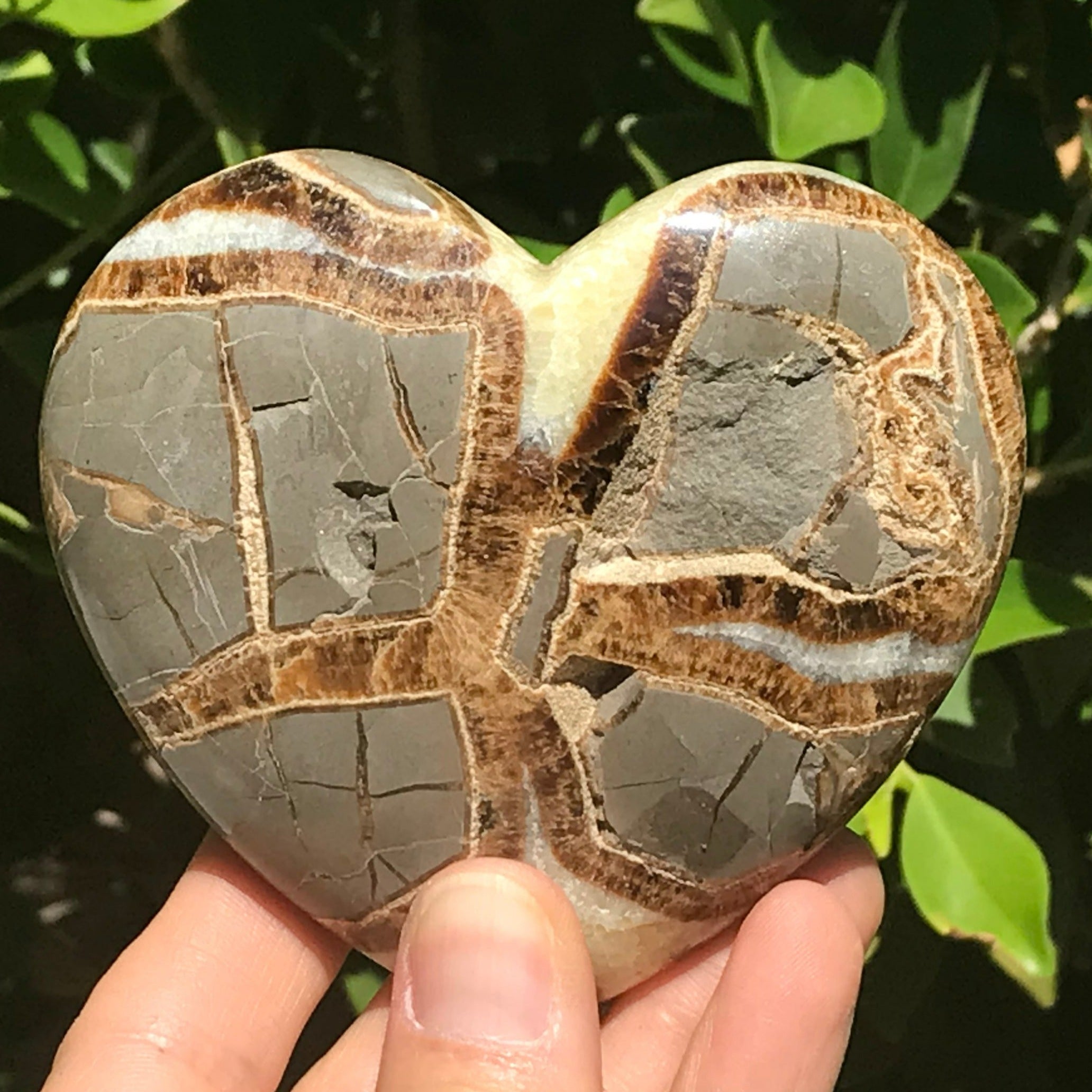 Utahn Septarian Heart