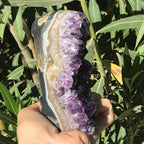 Amethyst Faced Freeform