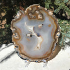 Radiant Brazilian Agate Slice