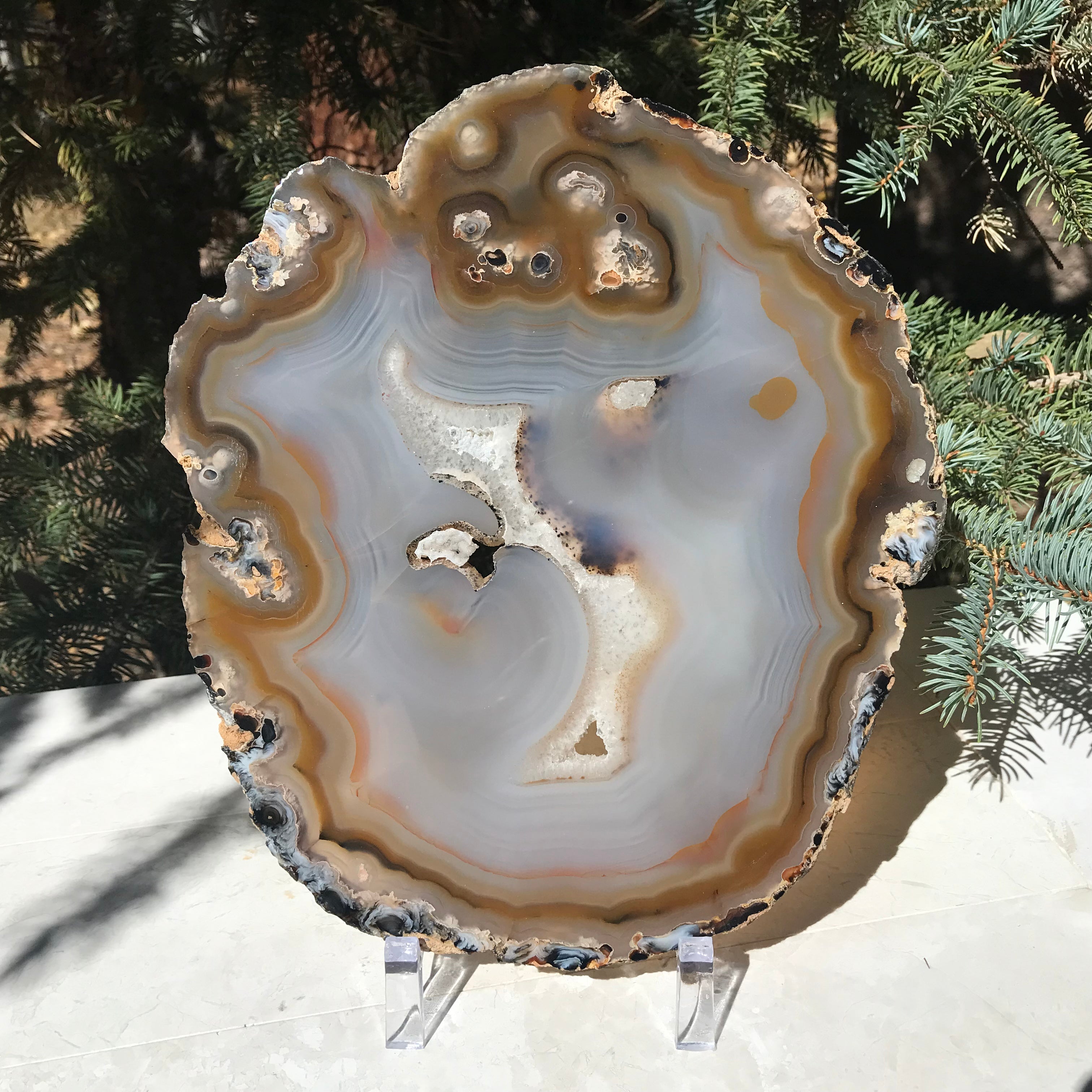 Radiant Brazilian Agate Slice