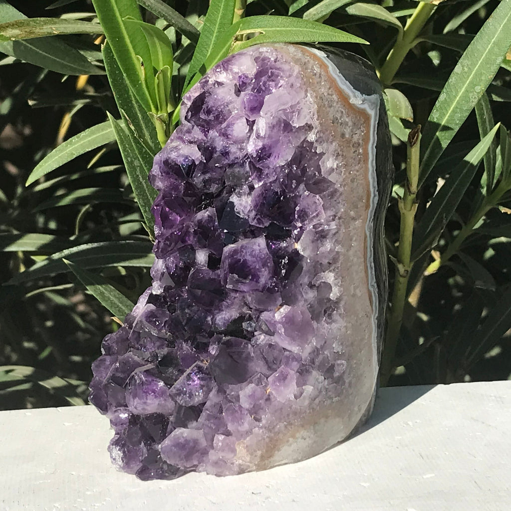 Amethyst Faced Freeform