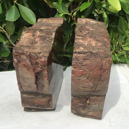 Arizona Rainbow Petrified Wood Bookends