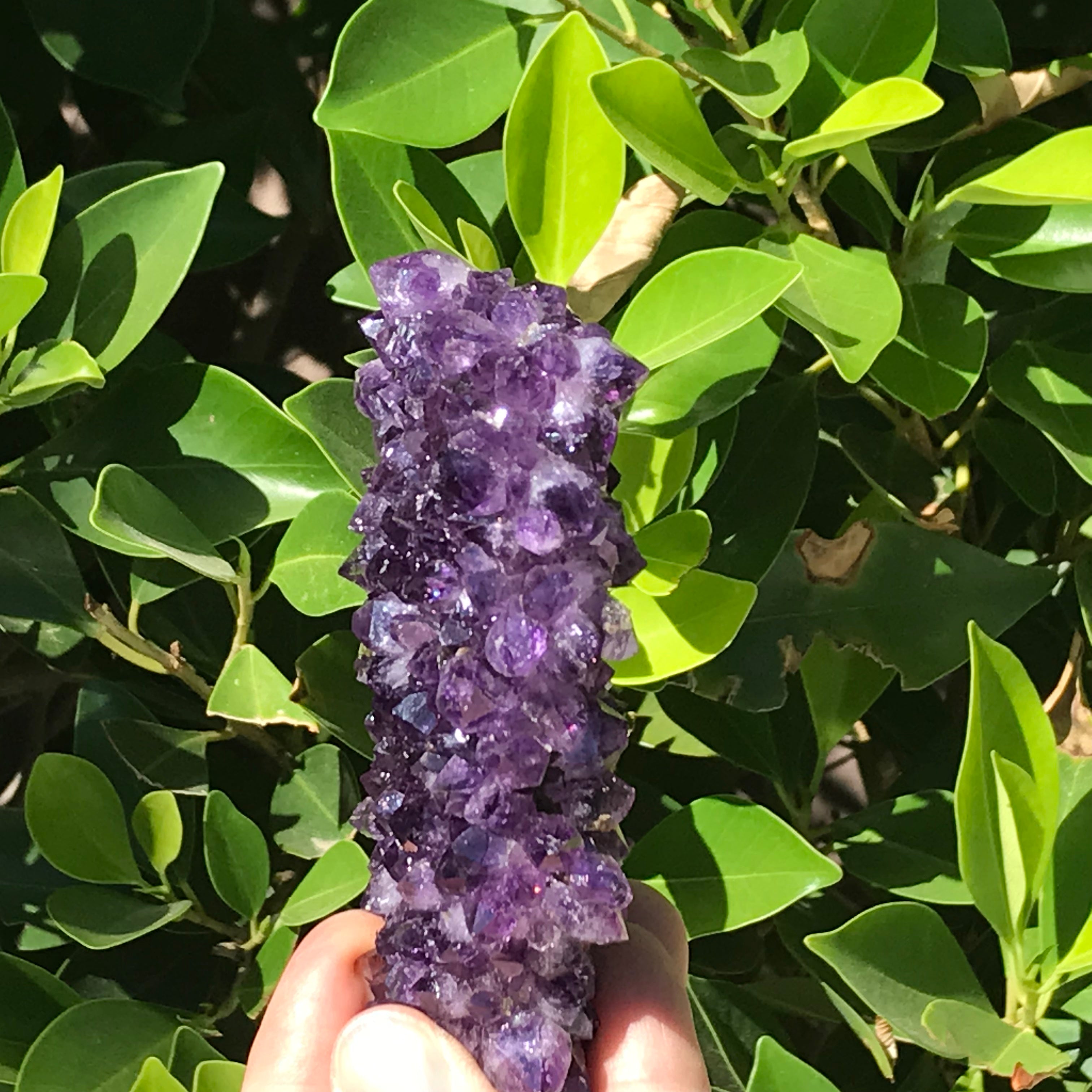 Uruguayan Amethyst Plate