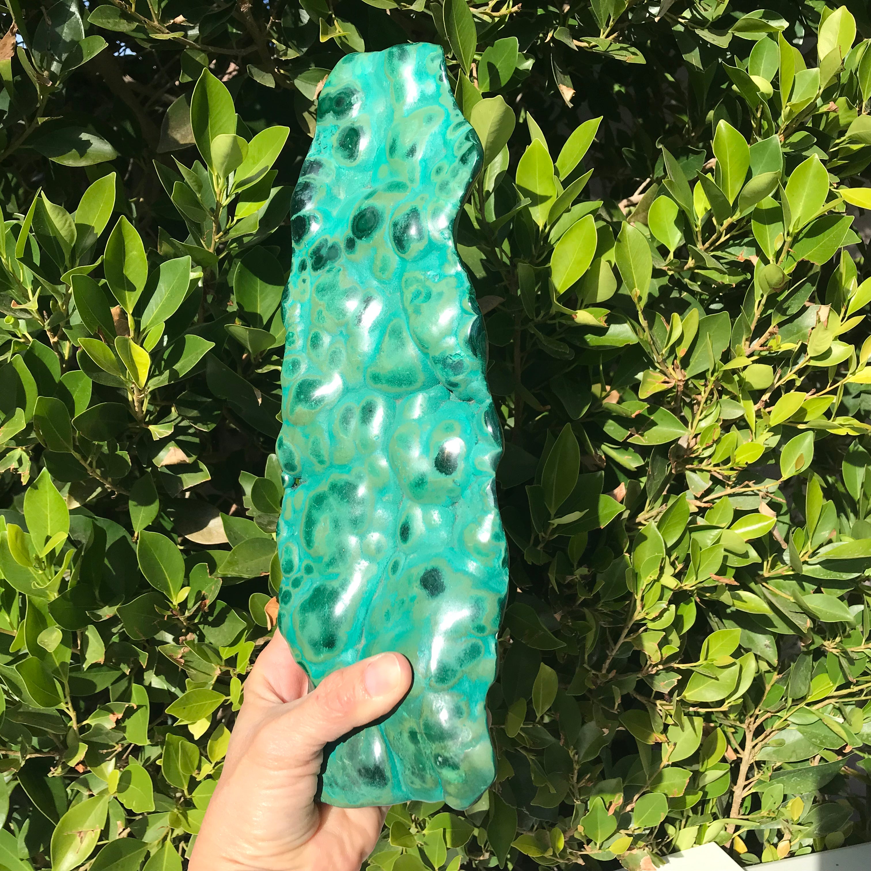 Polished Malachite/Chrysocolla Plate