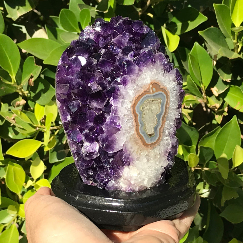 Stalactite Eyed Amethyst Cluster