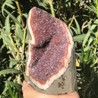 Glistening Red Uruguayan Agate Freeform