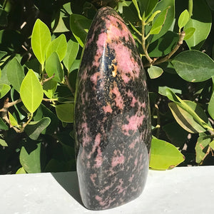 Polished Rhodonite Nodule