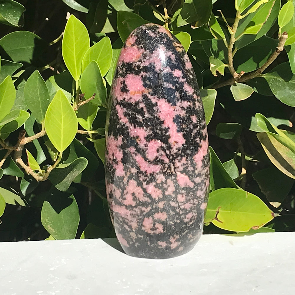 Black and Pink Rhodonite Nodule