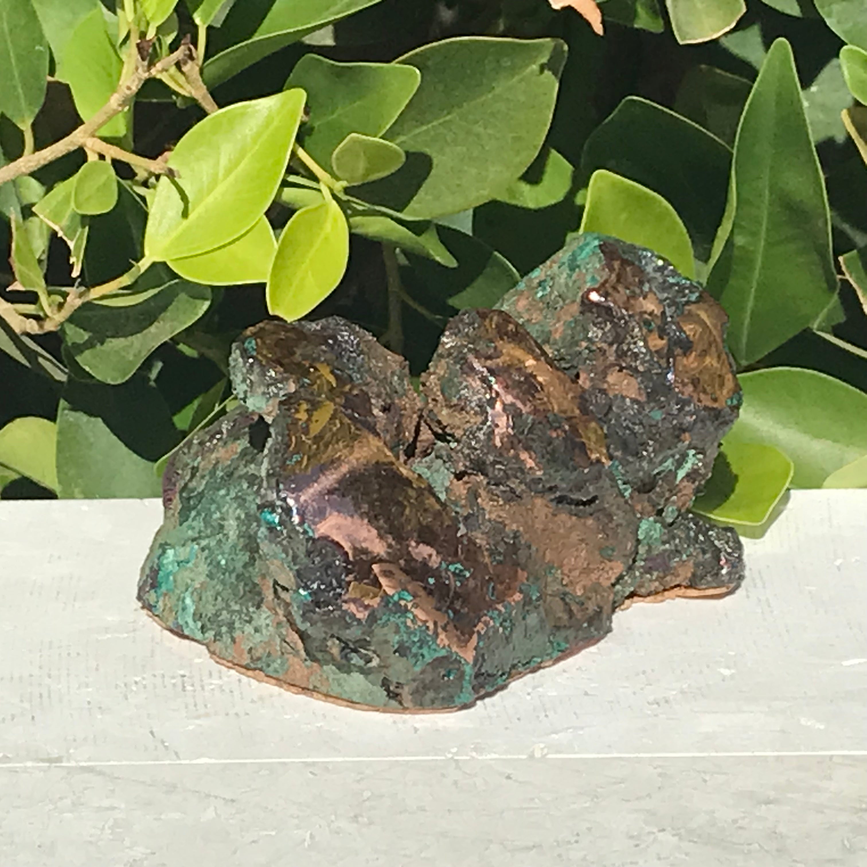 Michigan Float Copper Freeform