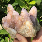 Towers of Spirit Quartz Crystal Cluster