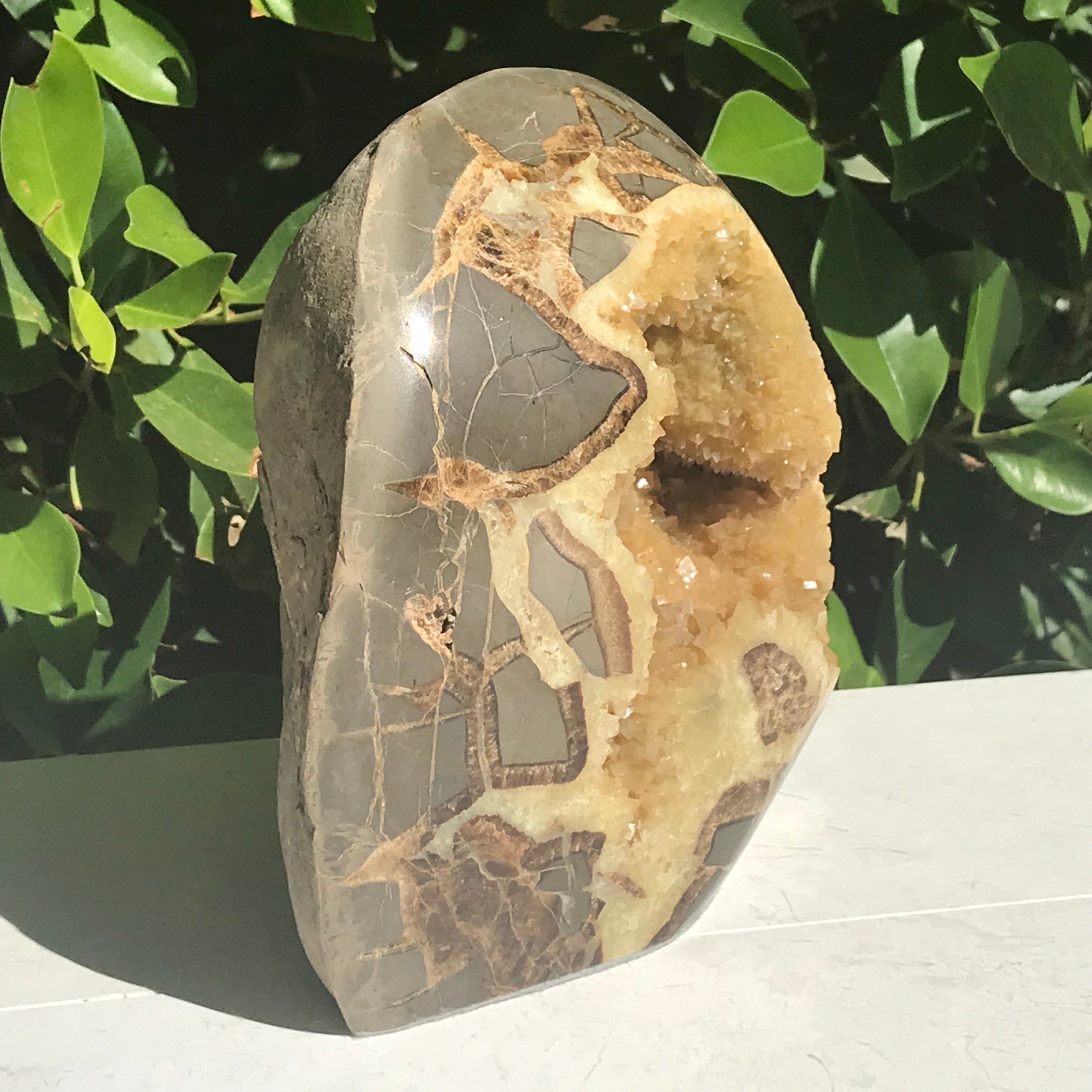 Crystal Filled Septarian Geode