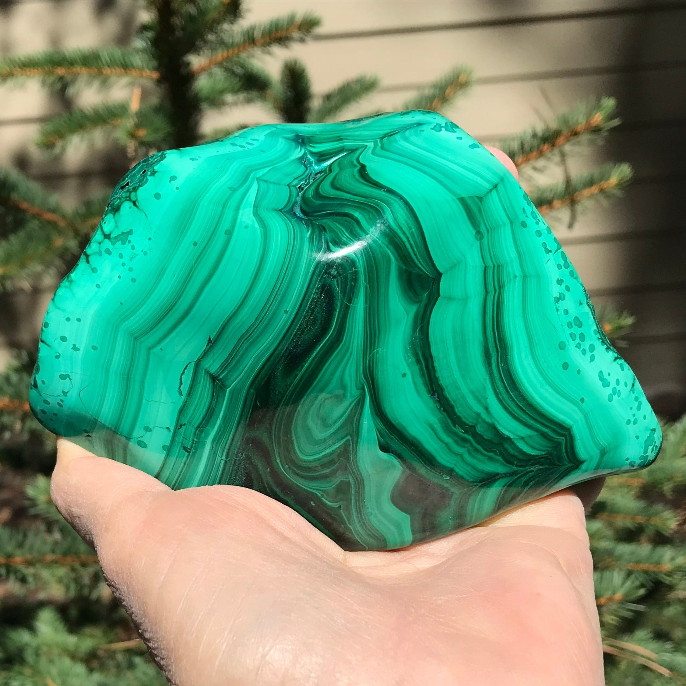 Polished Malachite with Chrysocolla