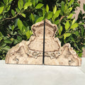 Petrified Cypress Wood Bookends