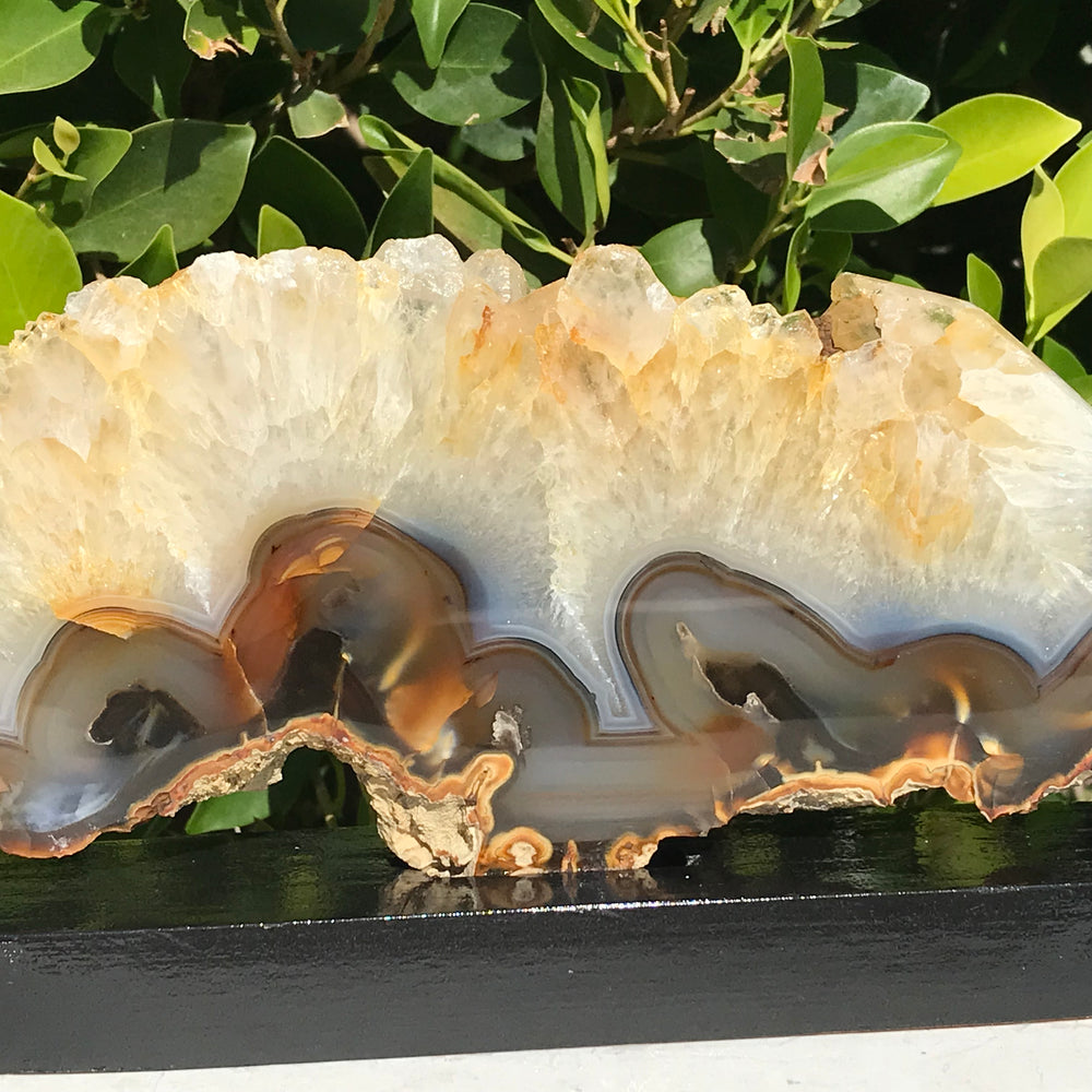 Crystal topped Brazilian Agate Slice