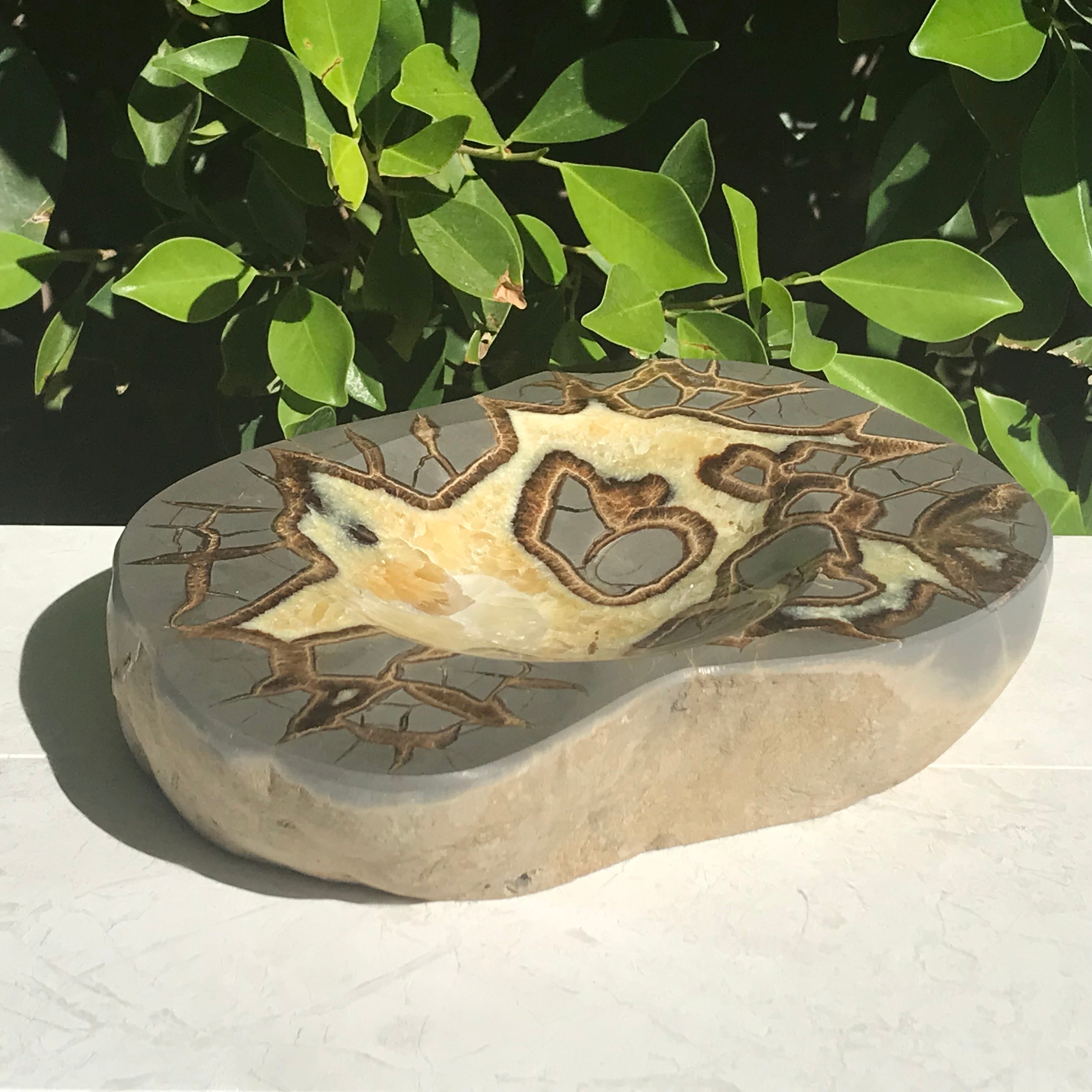 Patterned Septarian Bowl