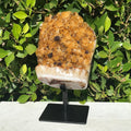 Goethite Speckled Brazilian Citrine Cluster