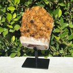 Goethite Speckled Brazilian Citrine Cluster