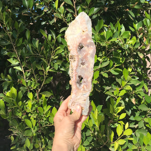 Tall Standing Rose Jasper Slab