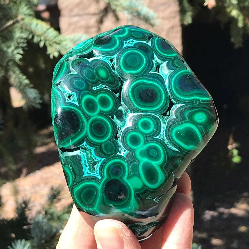 Prominant Orbbed Malachite with Chrysocolla