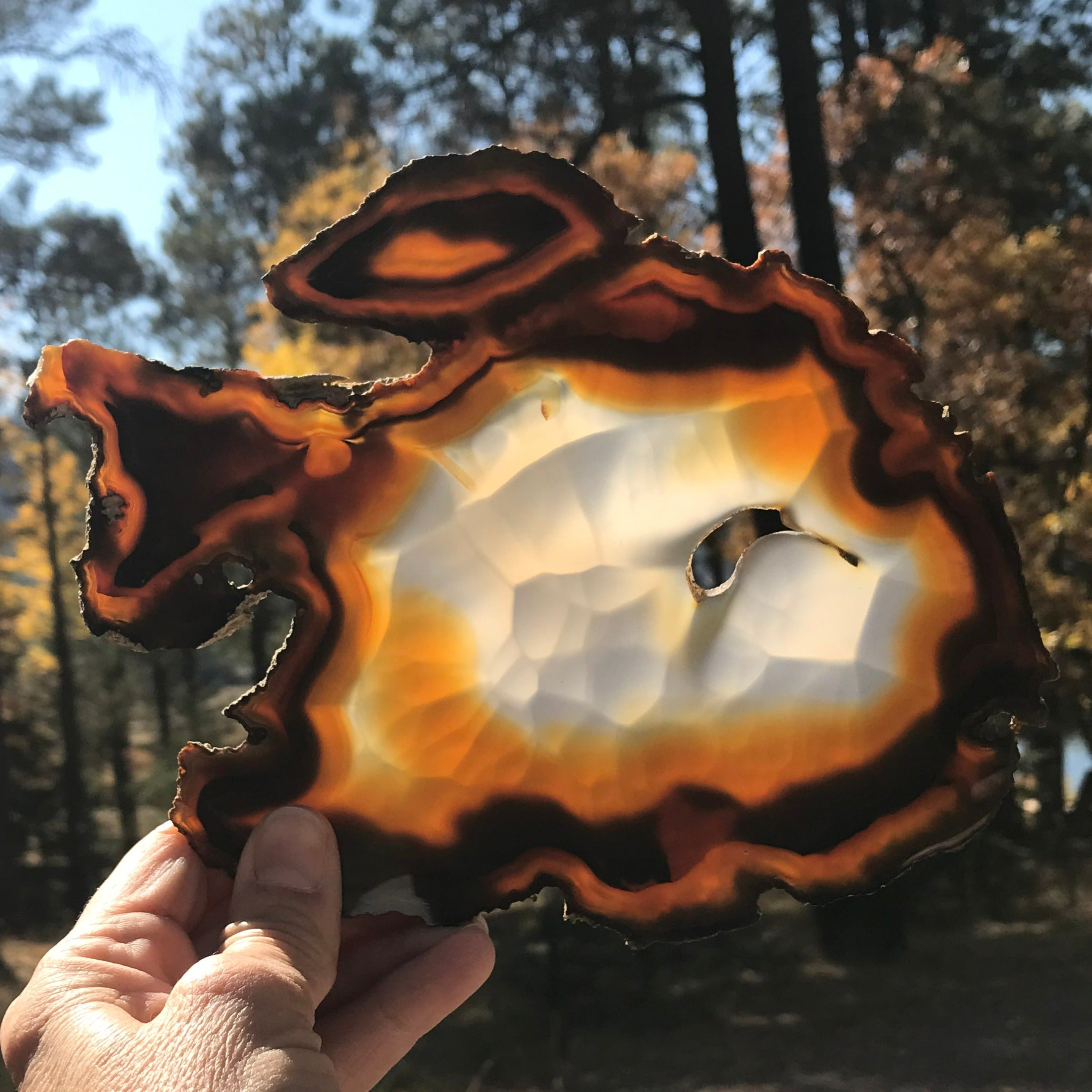 Banded Bubble Patterned Agate Slice