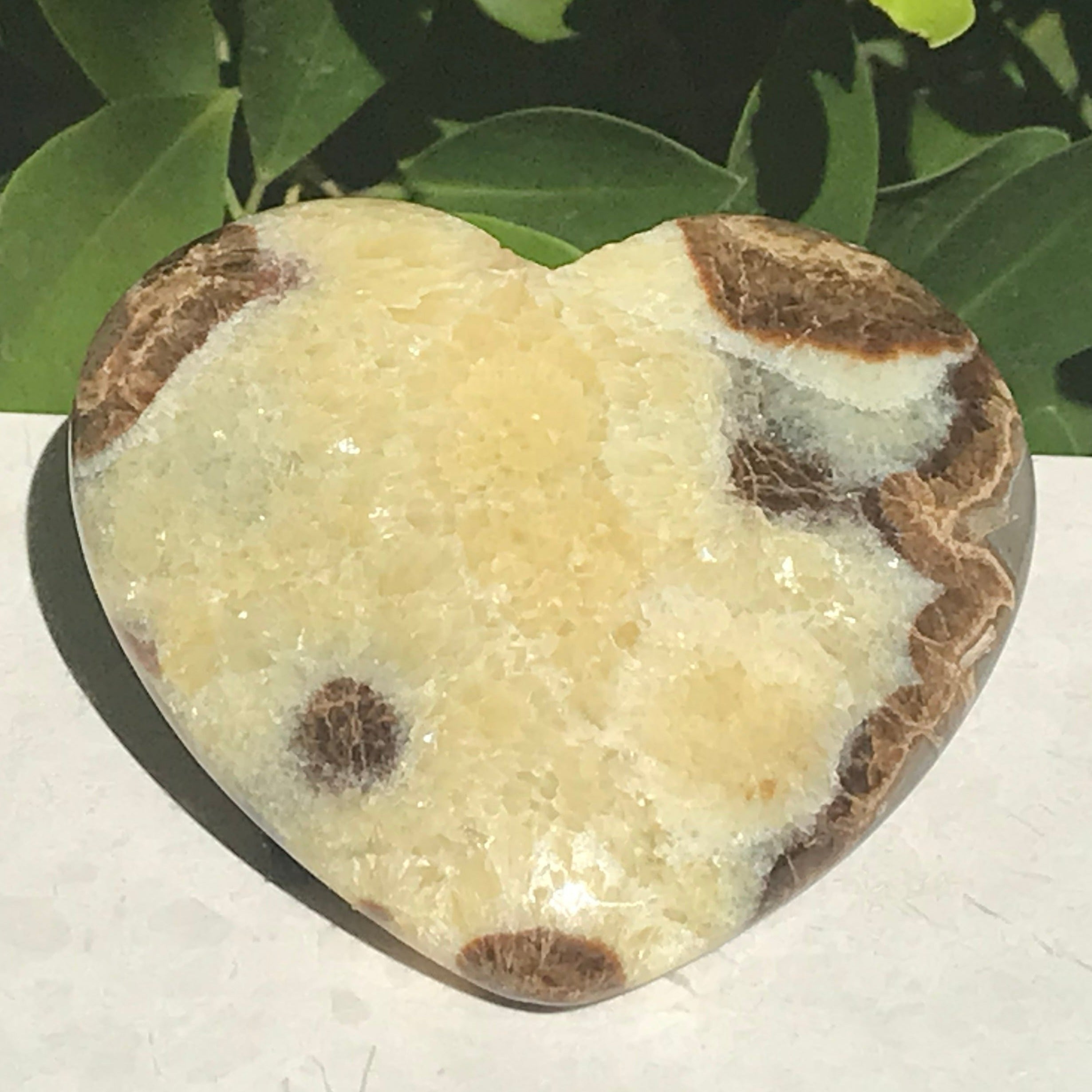 Utahn Septarian Heart