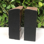 Arizona Rainbow Petrified Wood Bookends