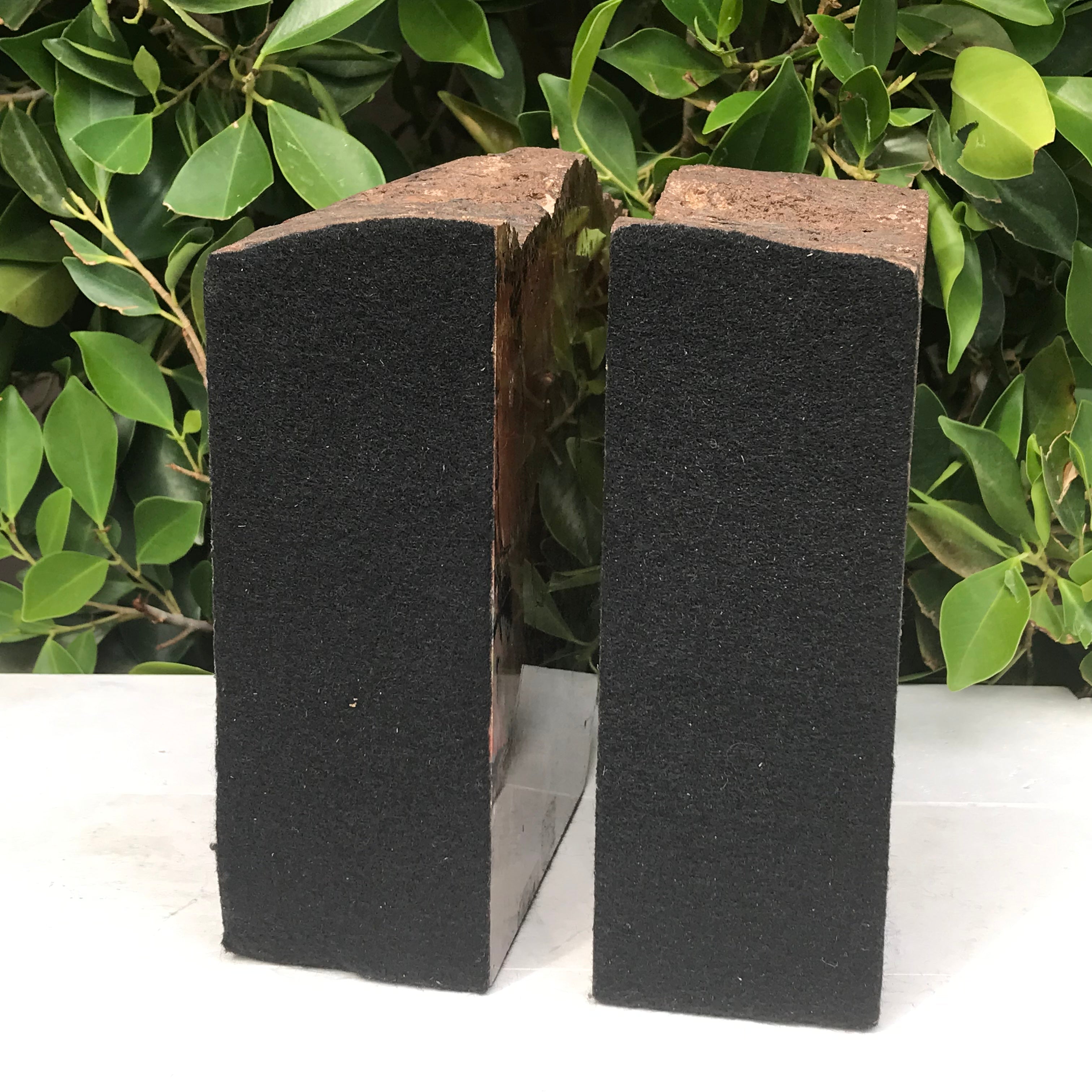 Arizona Rainbow Petrified Wood Bookends